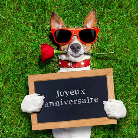 joyeux anniversaire photos